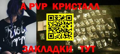 индика Тара